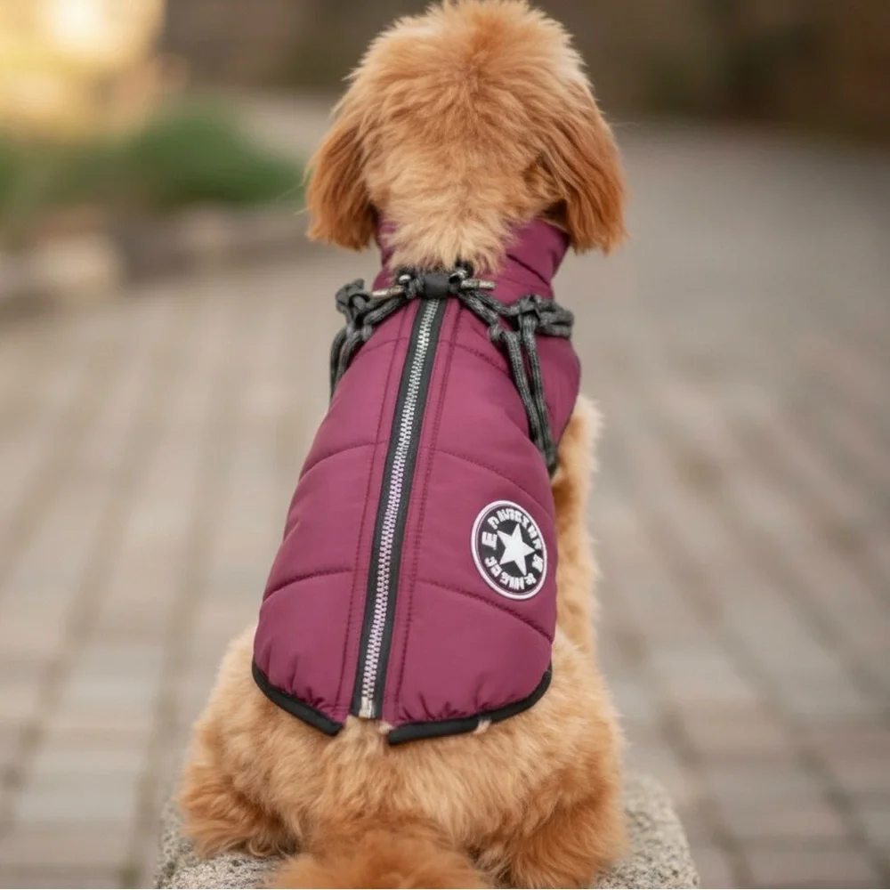 WINTER DOG COAT WITH ATTACHED HARNESS IN PURPLE